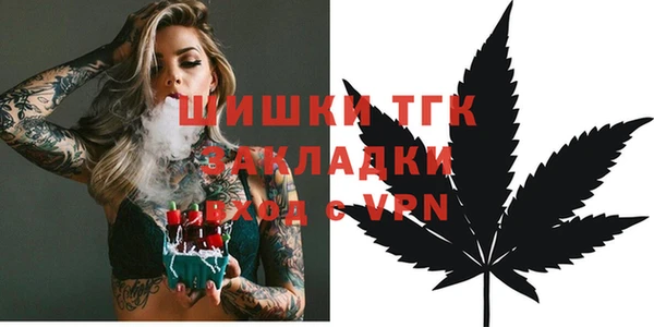 крисы Абаза
