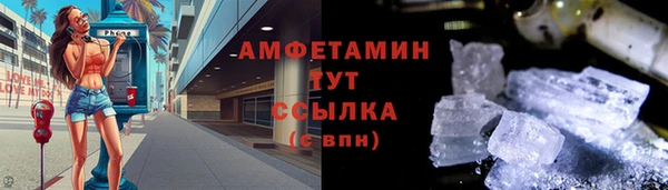 крисы Абаза