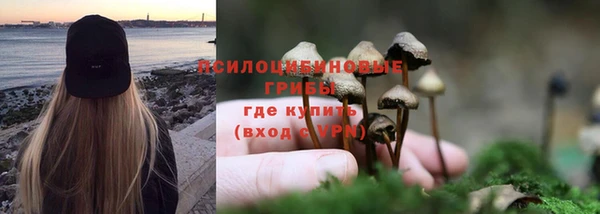 гашик Няндома