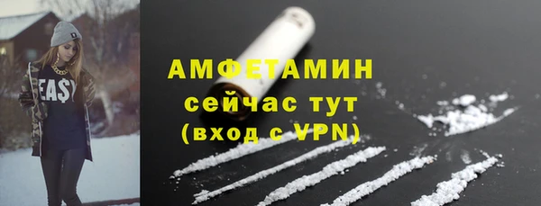 крисы Абаза
