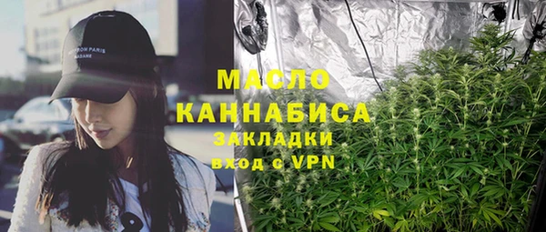крисы Абаза