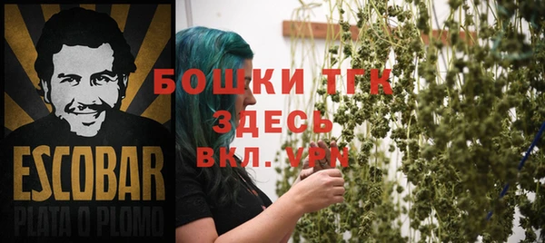 крисы Абаза