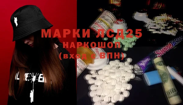 крисы Абаза