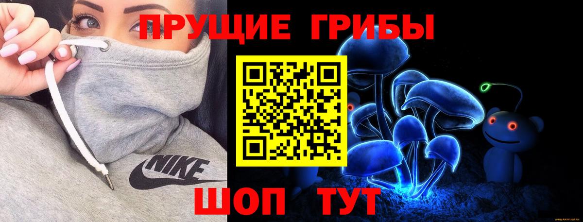 Галлюциногенные грибы MAGIC MUSHROOMS  Вход с VPN  Красный Сулин  Псилоцибиновые грибы прущие грибы 